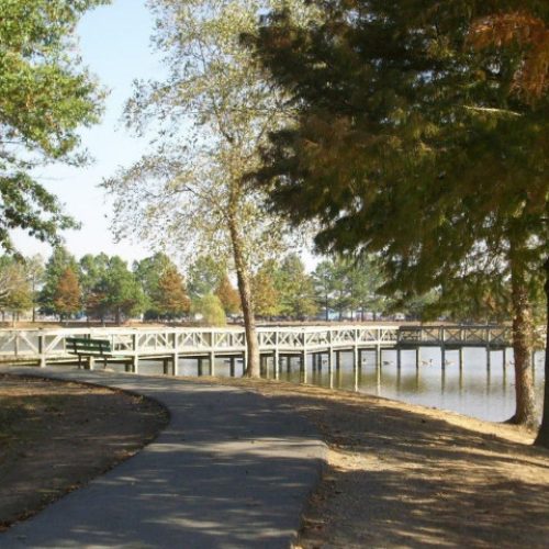 3cb885ce36f3ceb3a2e982a74f21ac1a_DeWittCityPark